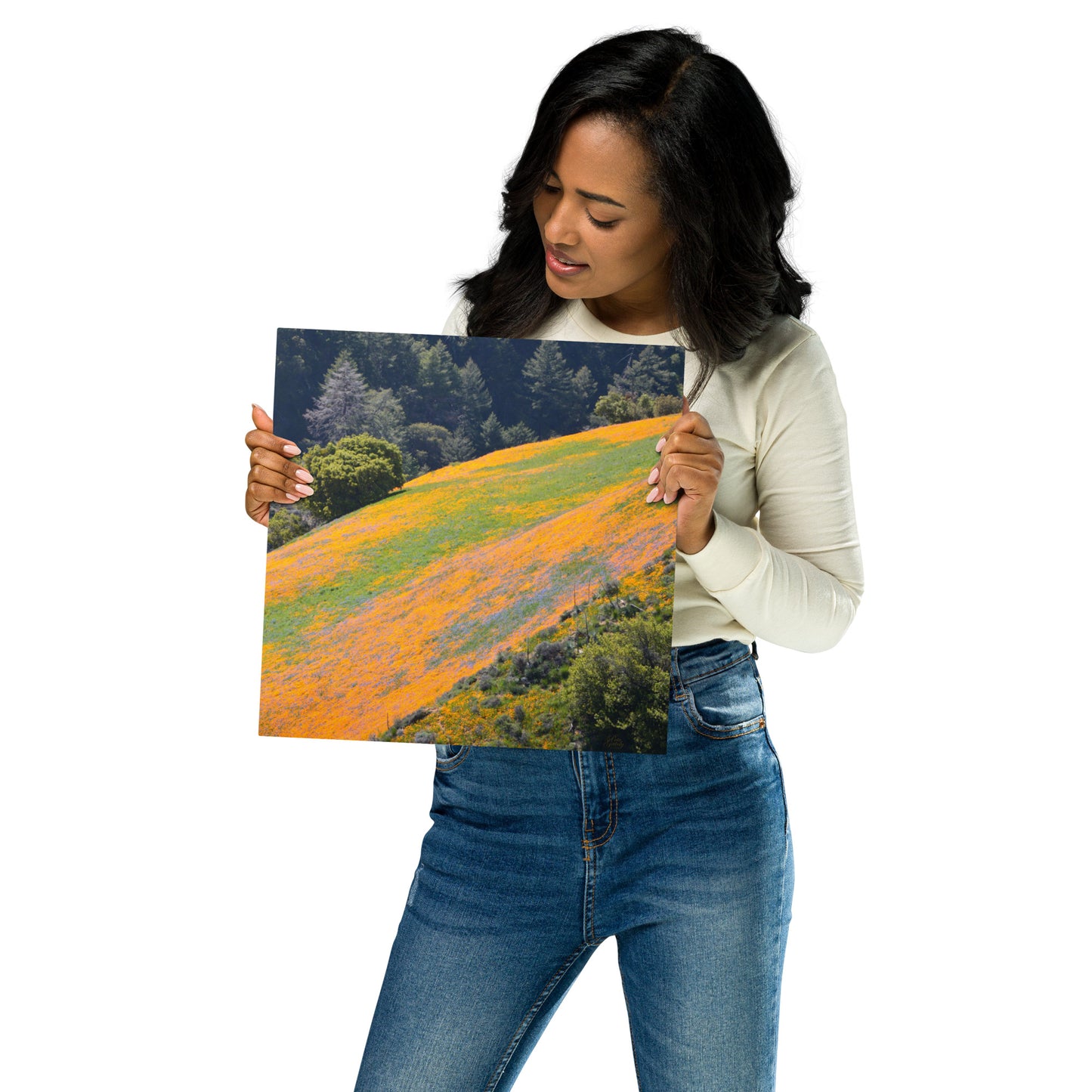 Santa Barbara County Wildflowers