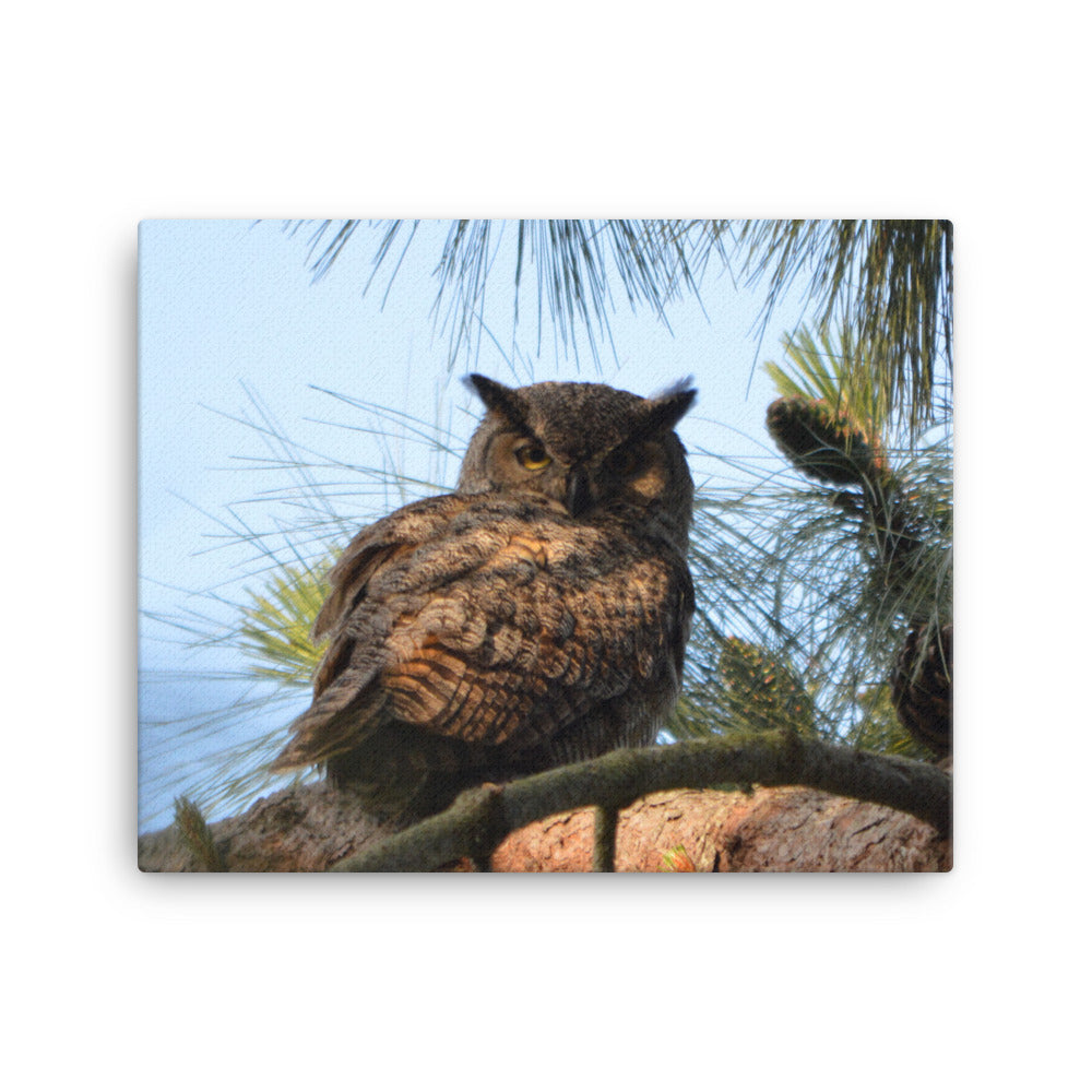 Great Horned Owl Canvas Print