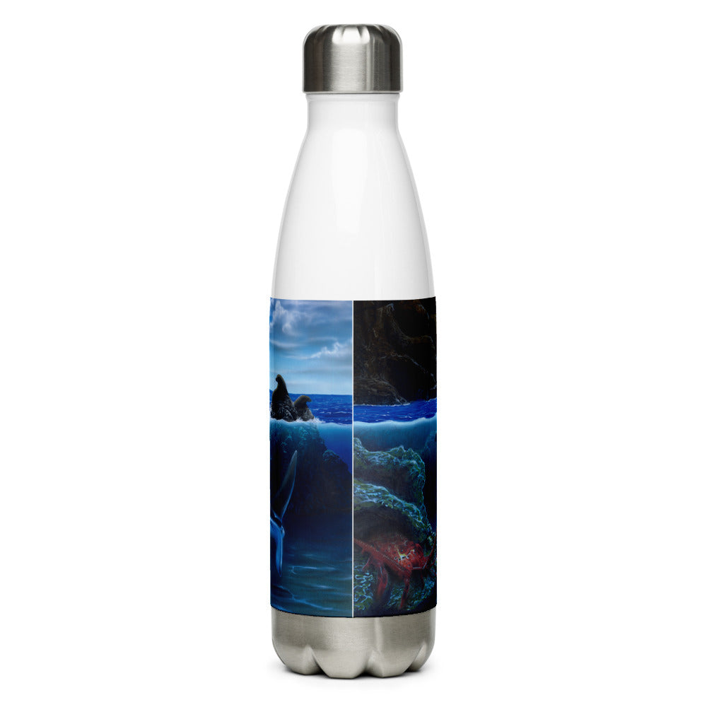 Stainless Steel Water Bottle